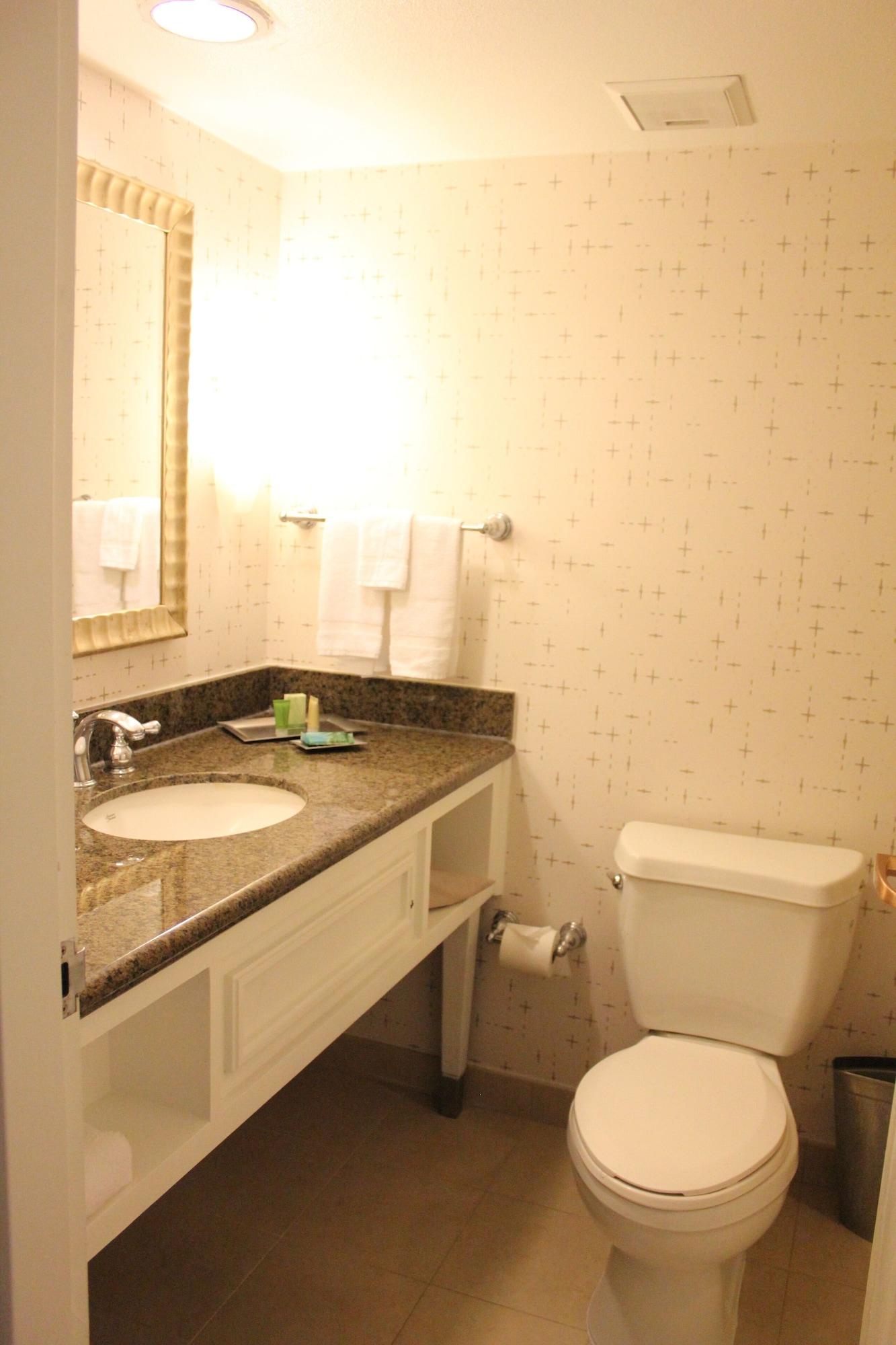 Airport Hotel&conference Center Hotel 4*