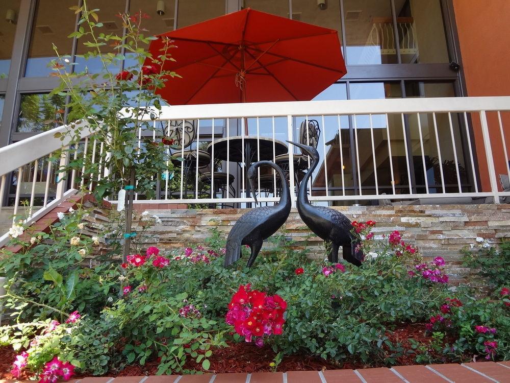 Airport Hotel&conference Center 4*