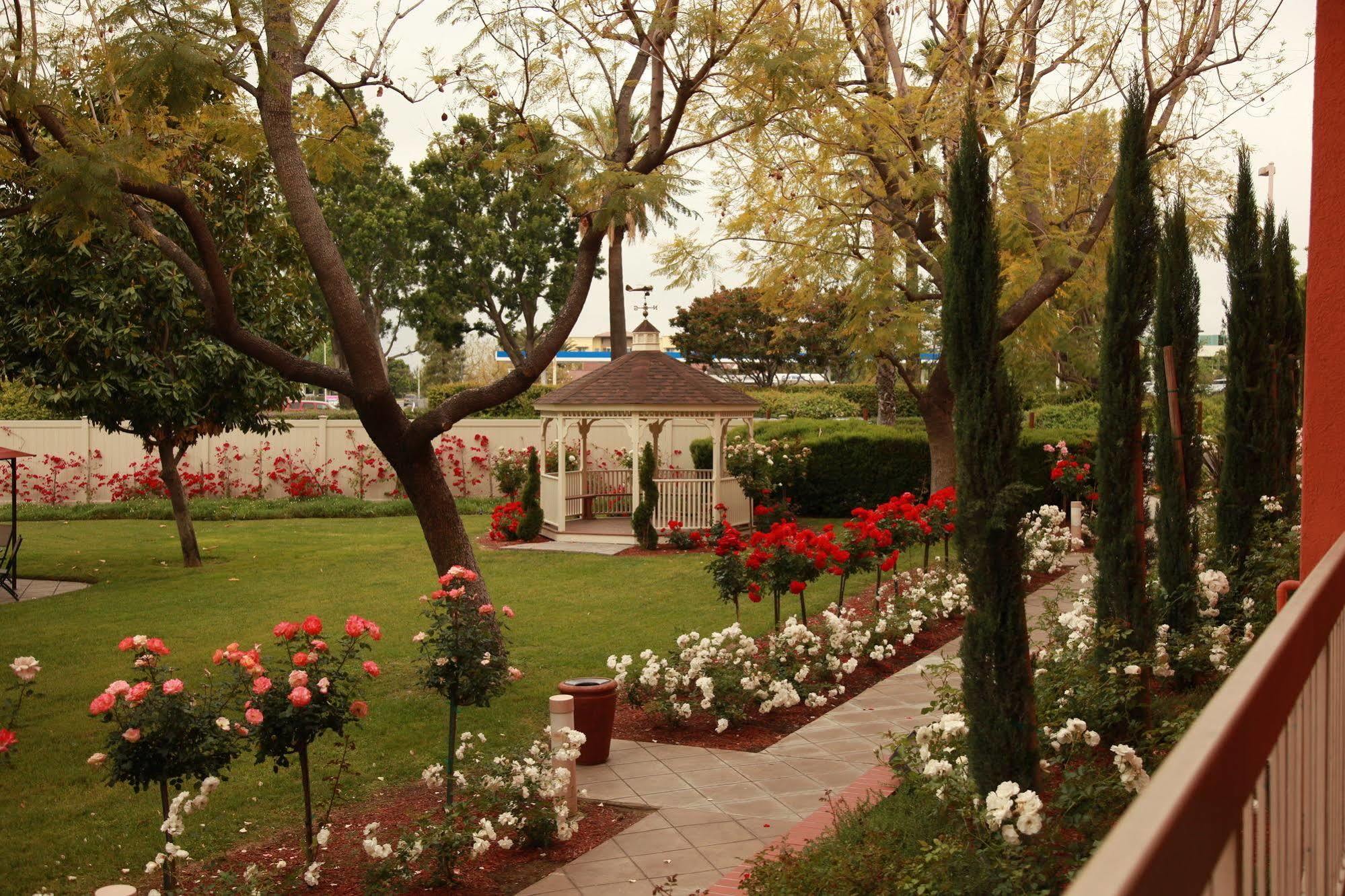 Airport Hotel&conference Center Hotel 4*